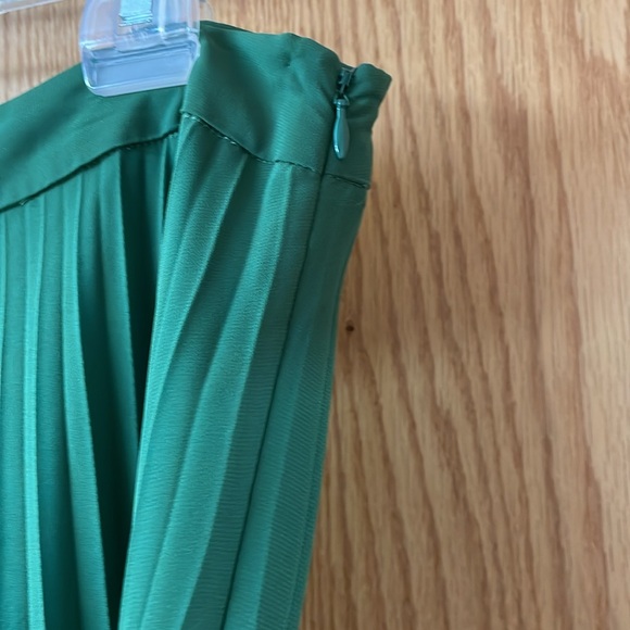 The Limited Skirt - Picture 2 of 4